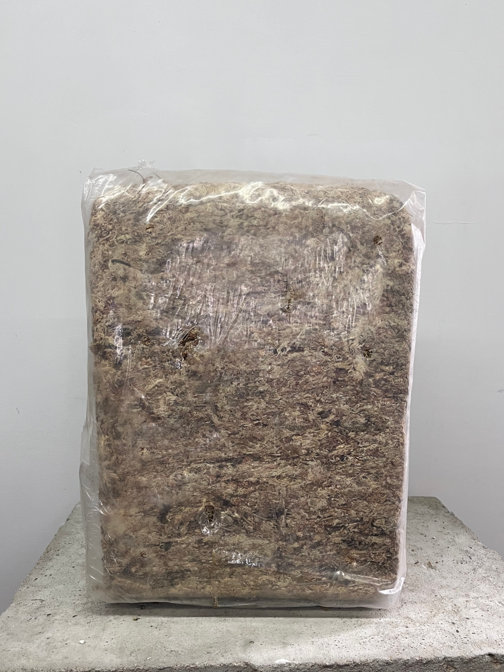 AcadianMoss Chilean Sphagnum Moss BULK Bale (5 kg)